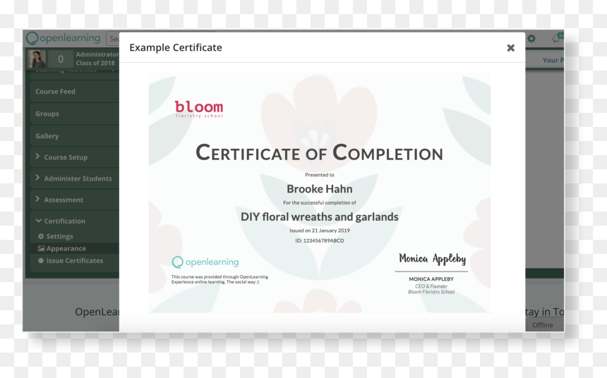 Screenshot, HD Png Download - certificate background hd png