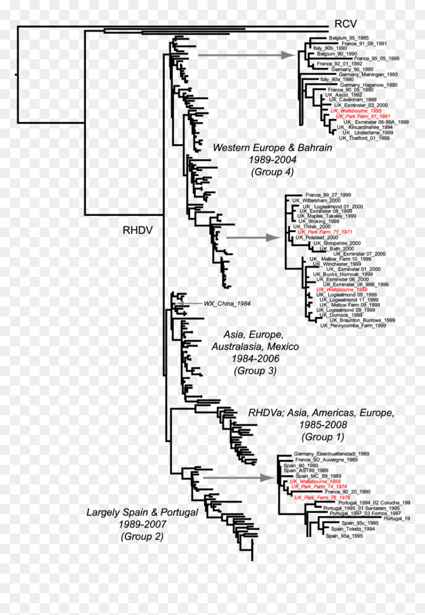 Diagram, HD Png Download - tree plan png black and white