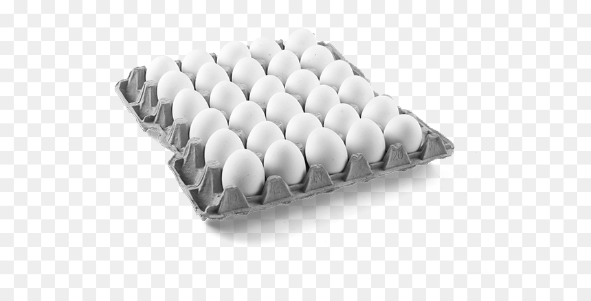 Thumb Image - Museum Of Contemporary Art (moca Bangkok), HD Png Download - white eggs png