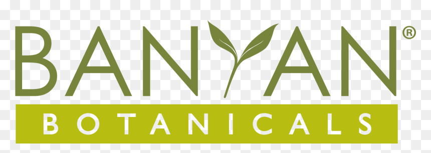 Graphic Design, HD Png Download - pipal leaf png