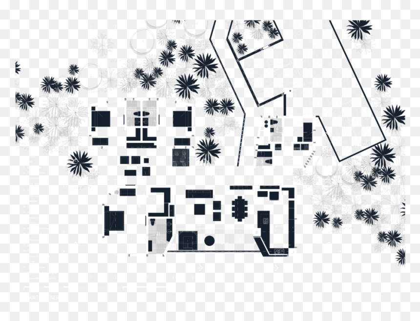 Tree, HD Png Download - tree plan png black and white