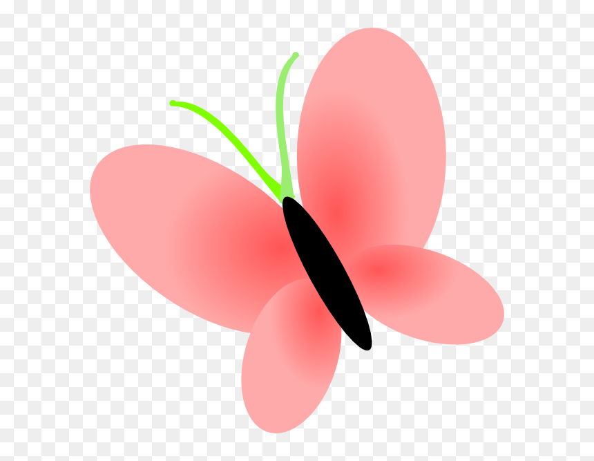 Clip Art Butterflies No Background, HD Png Download - butterfly cartoon png