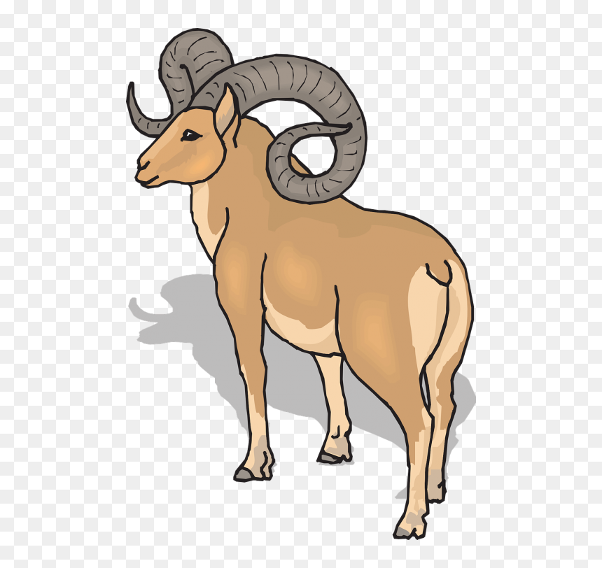 View Shadow Sheep - Ram Clipart, HD Png Download - ram horns png