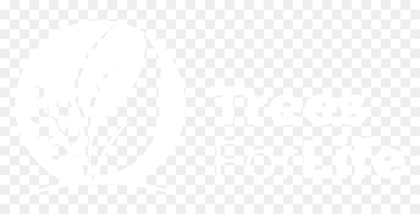 Graphic Design, HD Png Download - tree plan png black and white