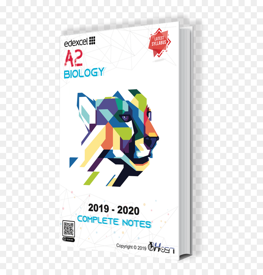 Poster, HD Png Download - old papers png