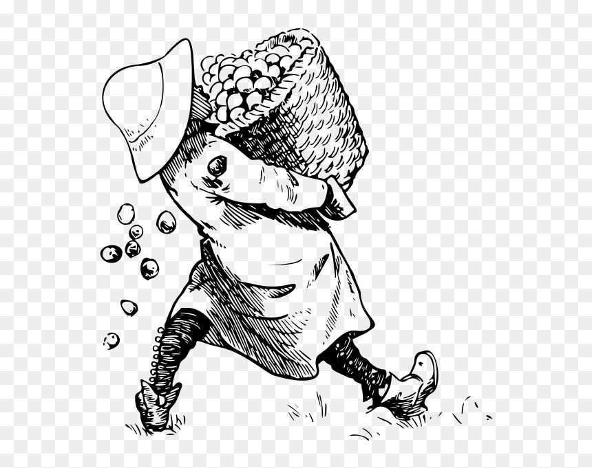 Collecting Eggs, HD Png Download - white eggs png