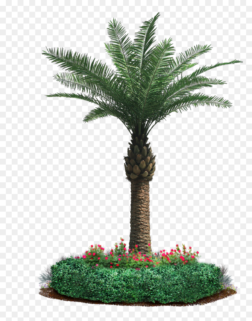 Our Motto Is “leaf It To Us” And It Holds The Company"s - Date Palm Tree Craft, HD Png Download - tree garden png