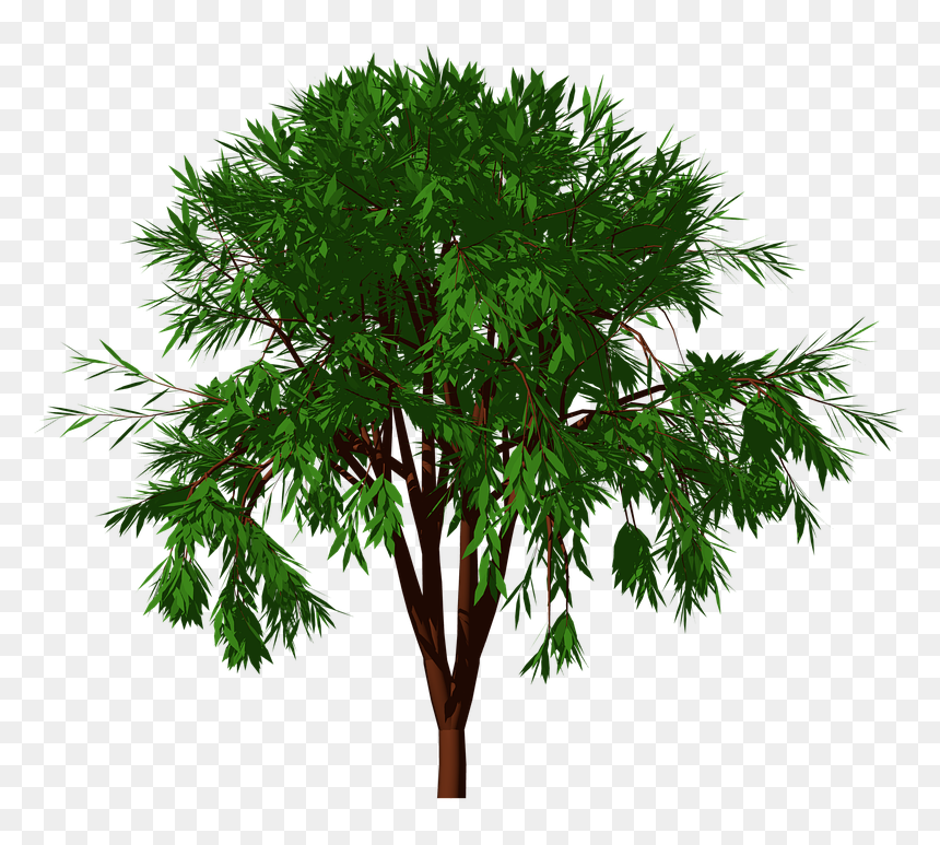 Nature Garden Png, Transparent Png - tree garden png