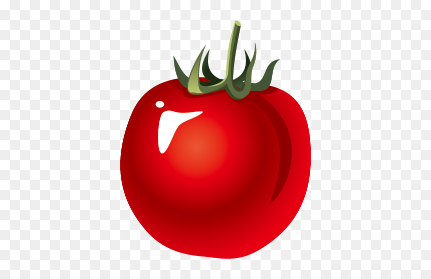 Plum Tomato, HD Png Download - tomato cartoon png