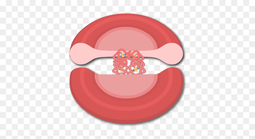 Red Blood Cell, HD Png Download - blood symbol png