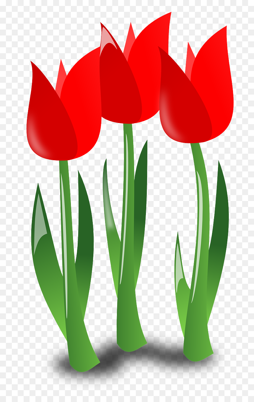 April Flowers Clip Art, HD Png Download - flowers plants png