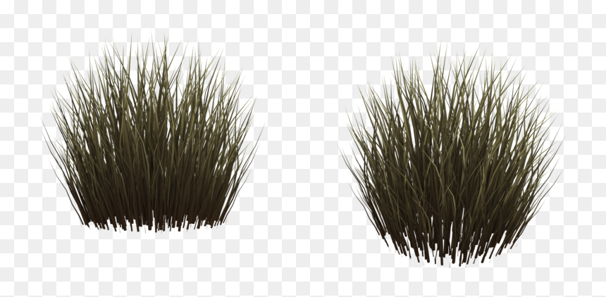 Thumb Image - Grass, HD Png Download - grass in png