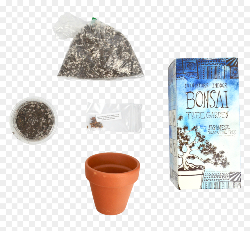 Diy Miniature Indoor Bonsai Tree Garden - Flowerpot, HD Png Download - tree garden png