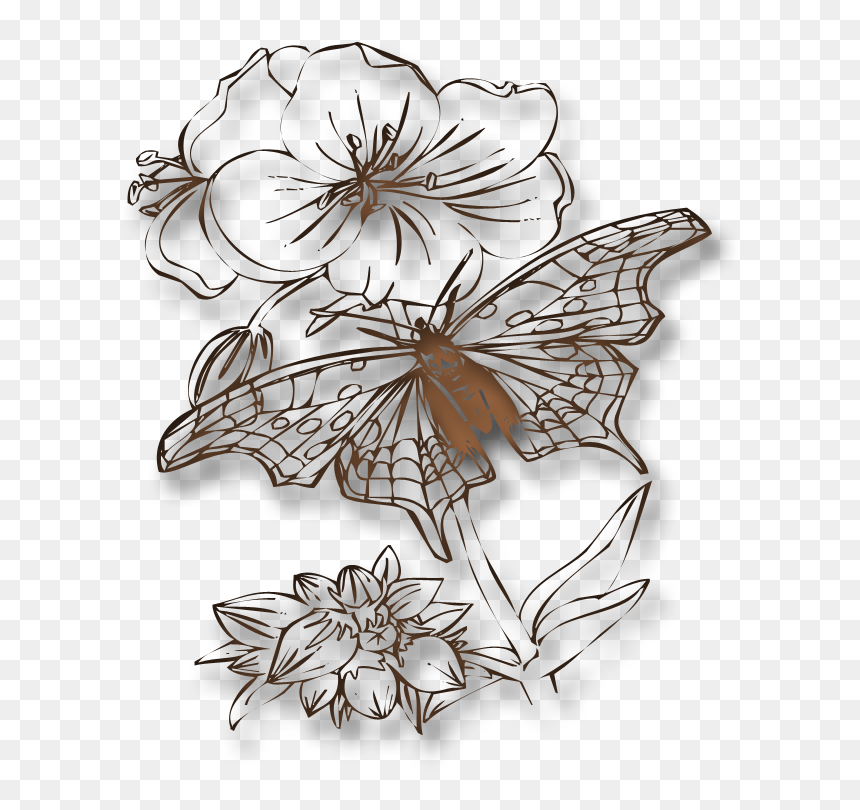 Swirl Png Transparent 800 X - Butterflies To Color, Png Download - swril png