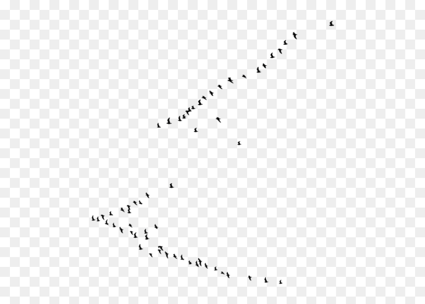 Birds, HD Png Download - birds in png