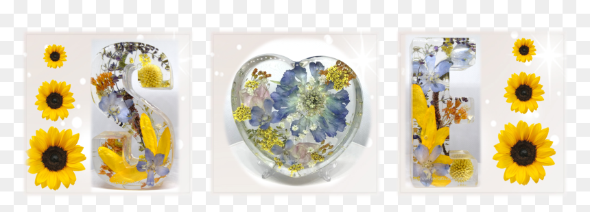 Cut Flowers, HD Png Download - flower haar png