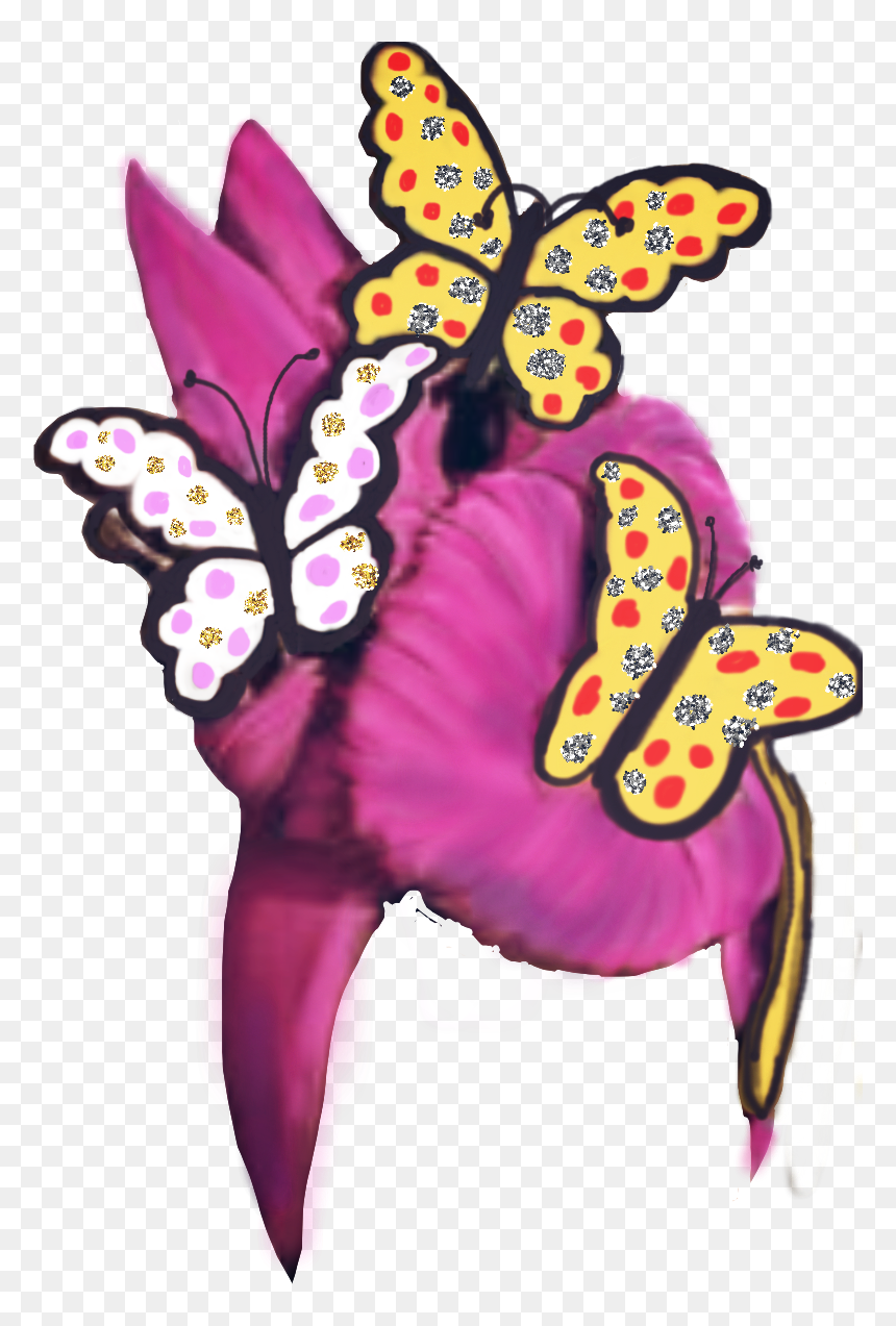 Cattleya, HD Png Download - pagri png