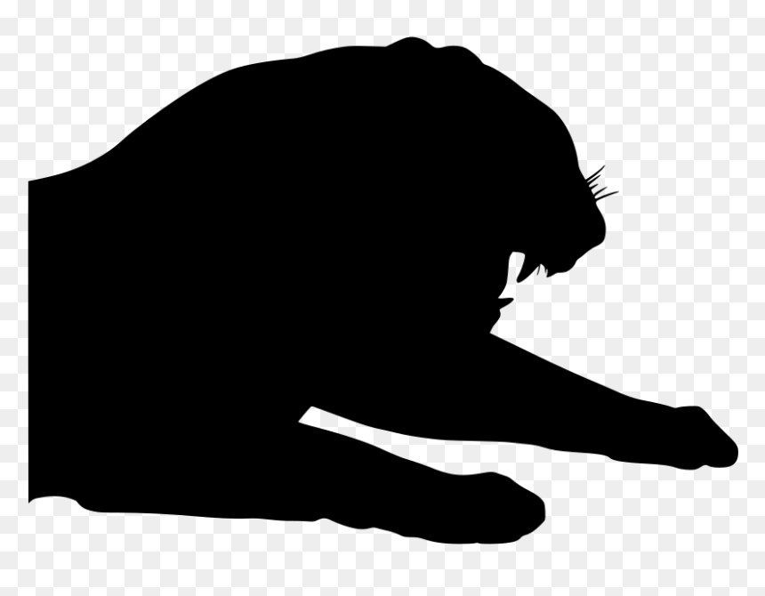 Mammal, HD Png Download - angry tiger png