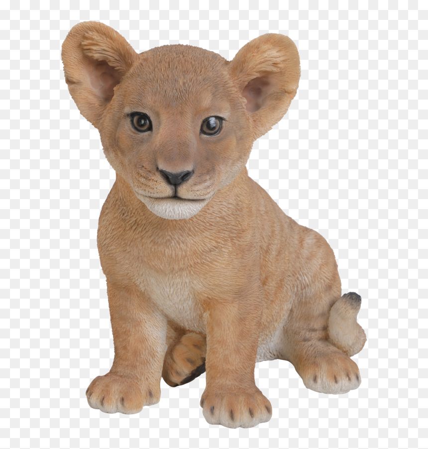 Small Image Of Sitting Lion Cub - Lion Cub Transparent Background, HD Png Download - lion sitting png
