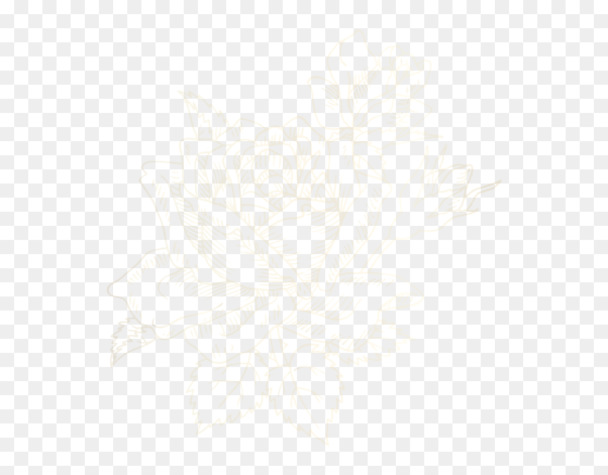 Sketch, HD Png Download - flower haar png