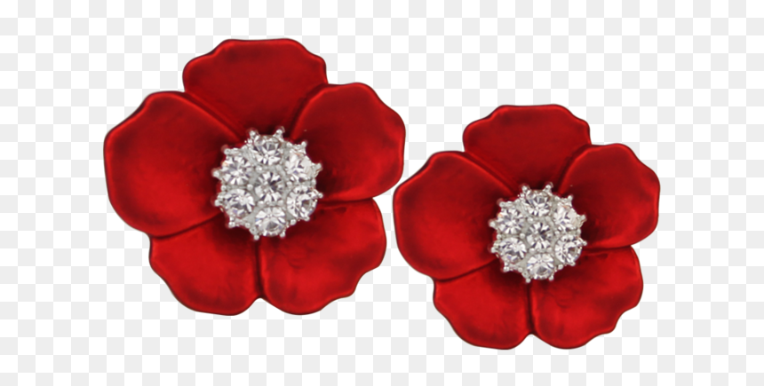Poinsettia, HD Png Download - flower haar png