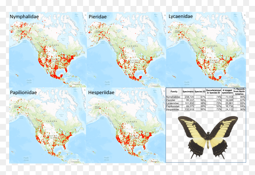 Atlas, HD Png Download - butterfly png for photoshop