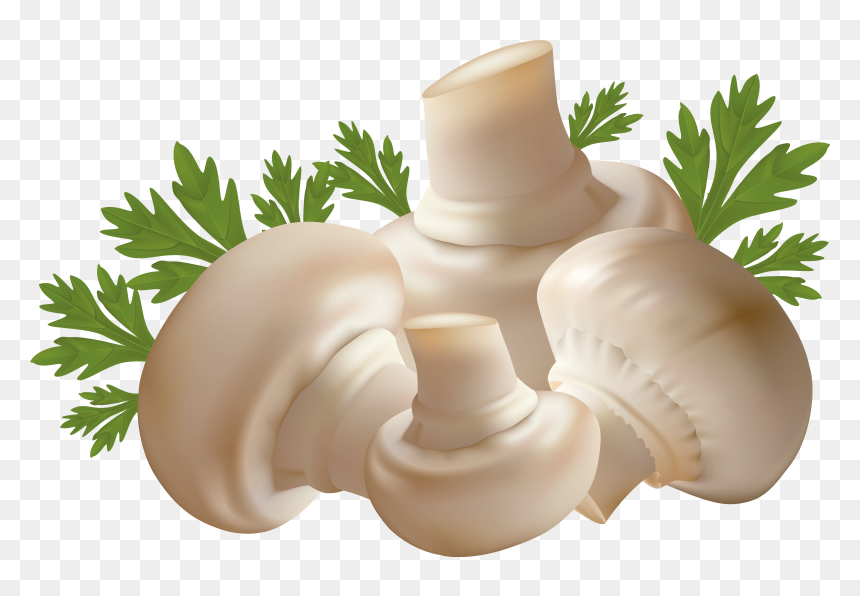 Mushroom Clipart Mushroom Vegetable - Mushrooms Png, Transparent Png - mashroom png