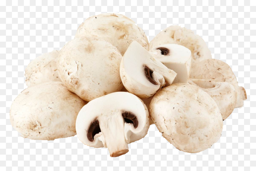 Mushroom Png File - Mushroom, Transparent Png - mashroom png