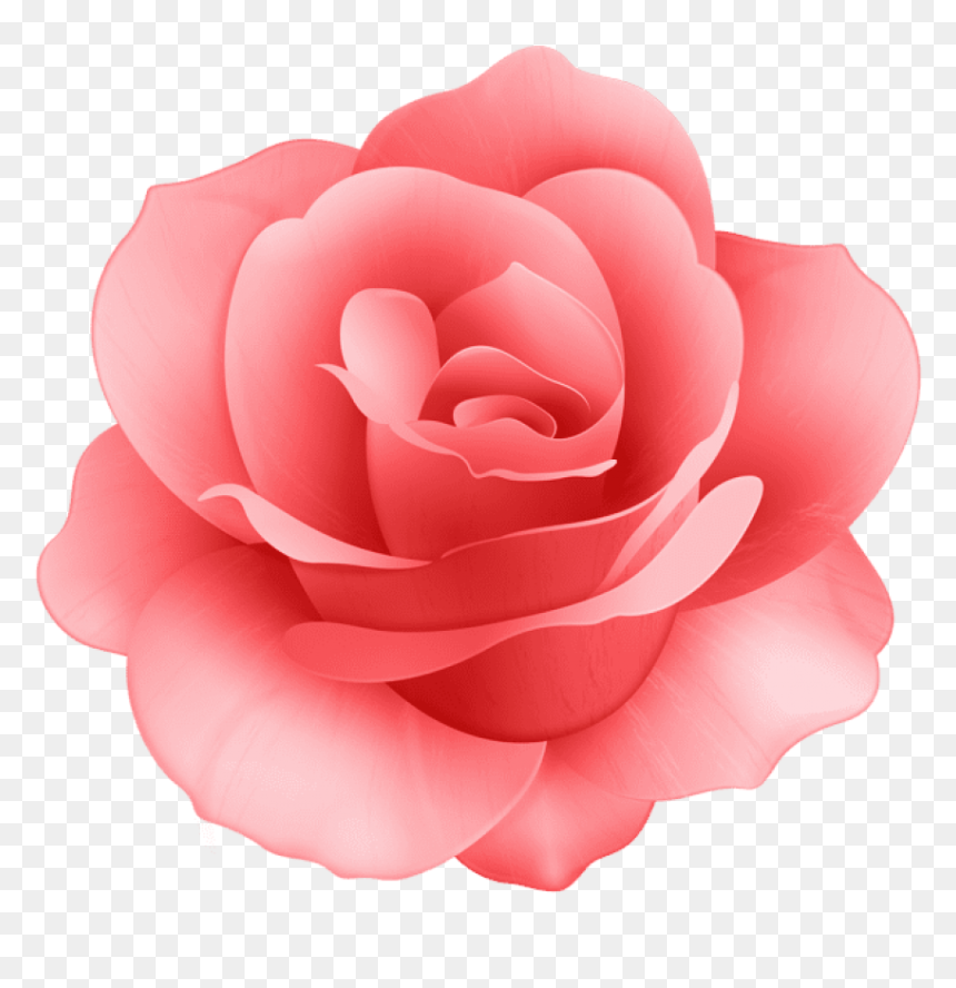 Free Png Red Rose Flower Png Images Transparent - Transparent Background Pink Flower Clipart, Png Download - red rose flower png