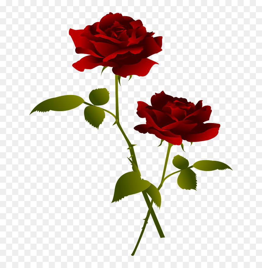 Rose Flowers Clipart, HD Png Download - red rose flower png