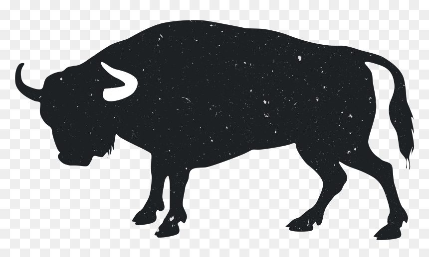 Angus Cattle Hereford Cattle Bull Drawing Clip Art - Bull Black Drawing, HD Png Download - indian bull png