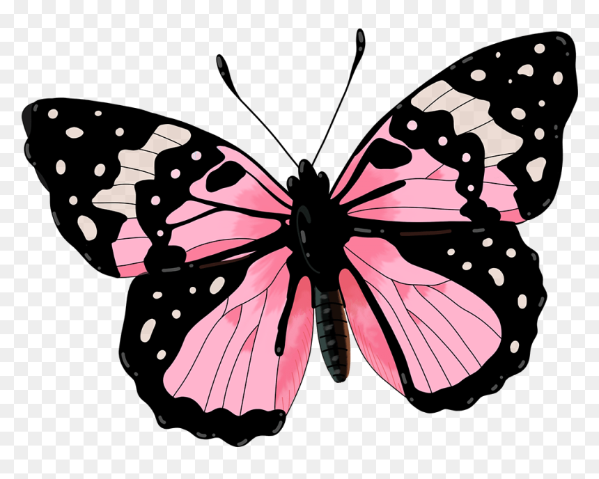 Lycaenid, HD Png Download - butterfly png for photoshop