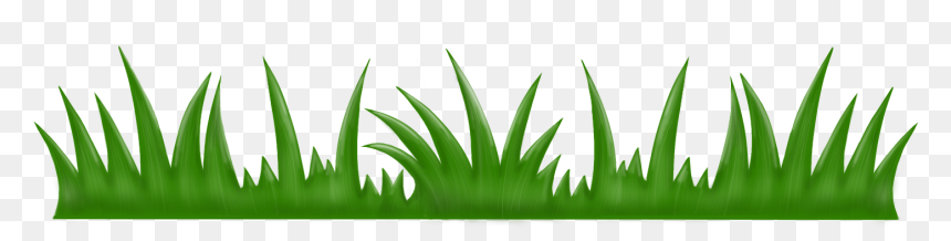 Grass - Agave Azul, HD Png Download - grash png