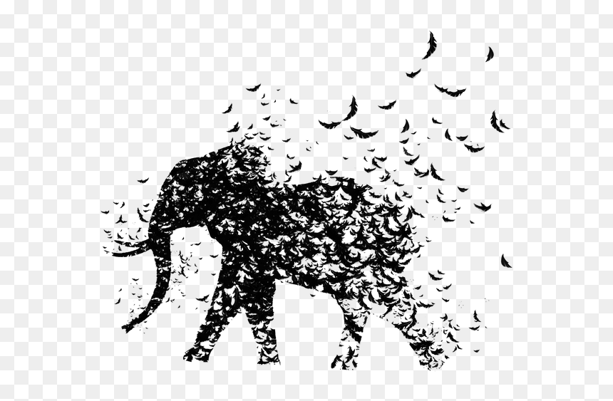 Elephant, HD Png Download - indian bull png