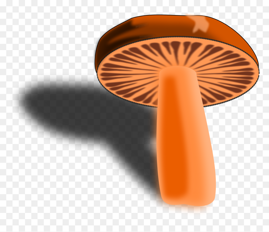 Orange Mushroom Clip Arts - Pleurotus Eryngii, HD Png Download - mashroom png