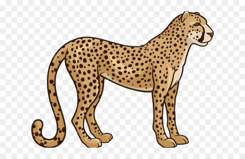 Realistic Clipart Cheetah - Cheetahs Clipart, HD Png Download - lion sitting png