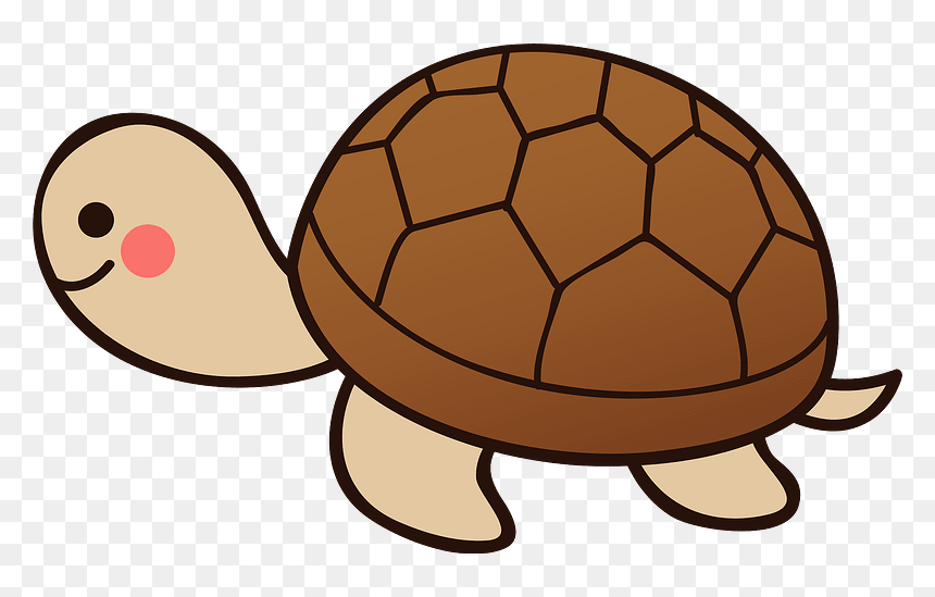 Turtle Animal Clipart - Coloring Book, HD Png Download - tortoise clipart png