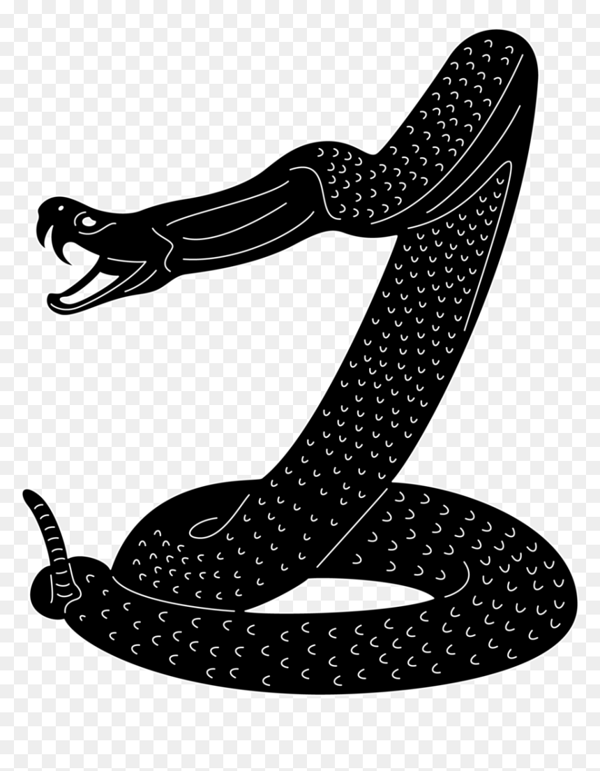 Serpent Clipart Snake Attack - Snake Ready To Attack, HD Png Download - attack png
