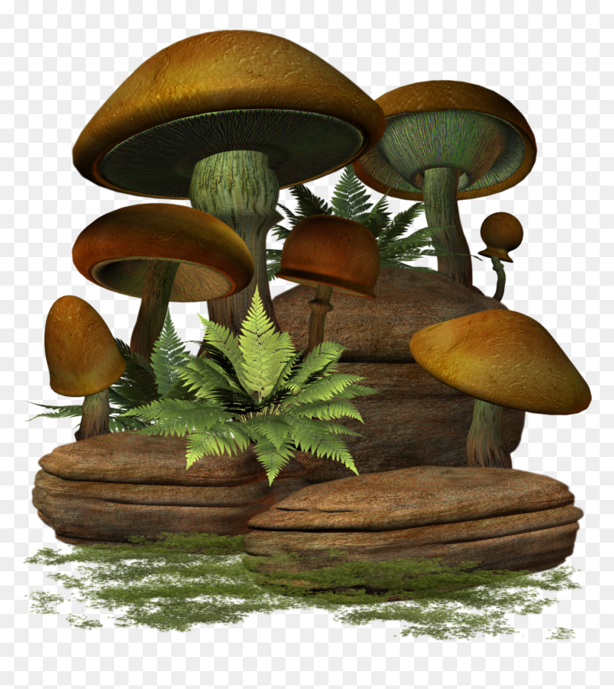 Mushroom, HD Png Download - mashroom png