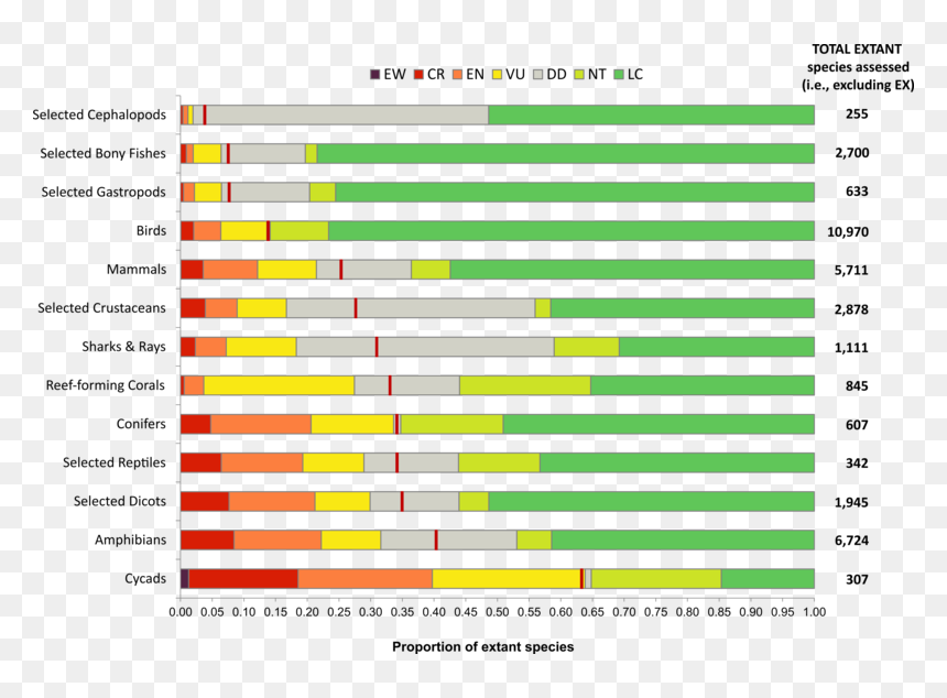 Critically Endangered Species Extinction, HD Png Download - nature images in png format