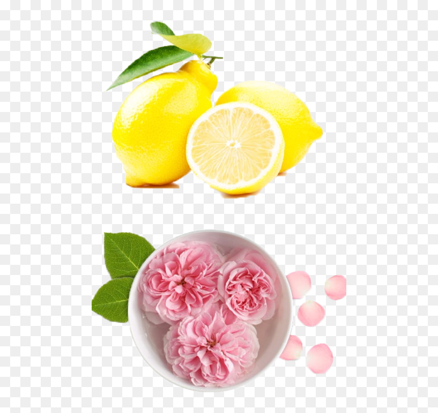 Rose Water And Sandalwood Paste, HD Png Download - lemon png image