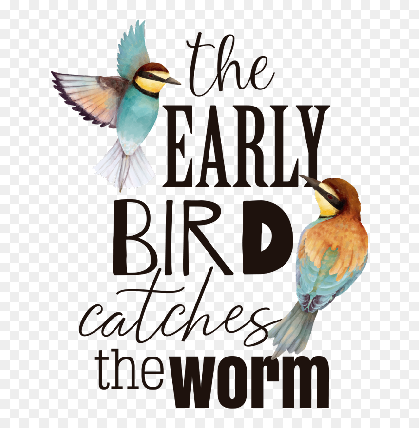 Early Bird Refrain Living Room Wall Decor - Bee Eater, HD Png Download - early bird png