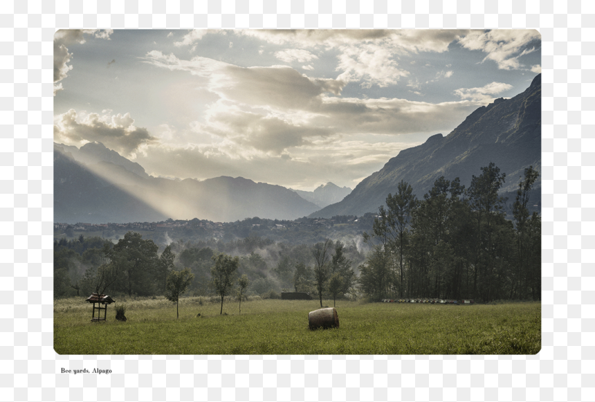 11, HD Png Download - nature images in png format