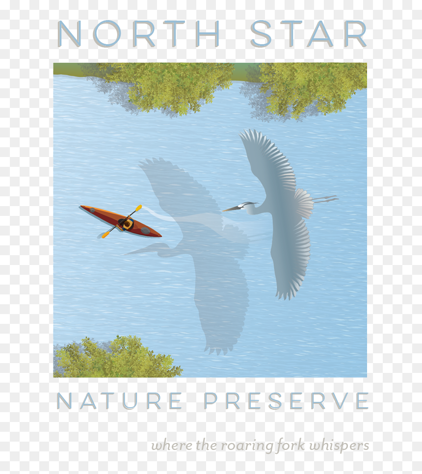 Nsnp Stacked Logo 3, HD Png Download - nature images in png format