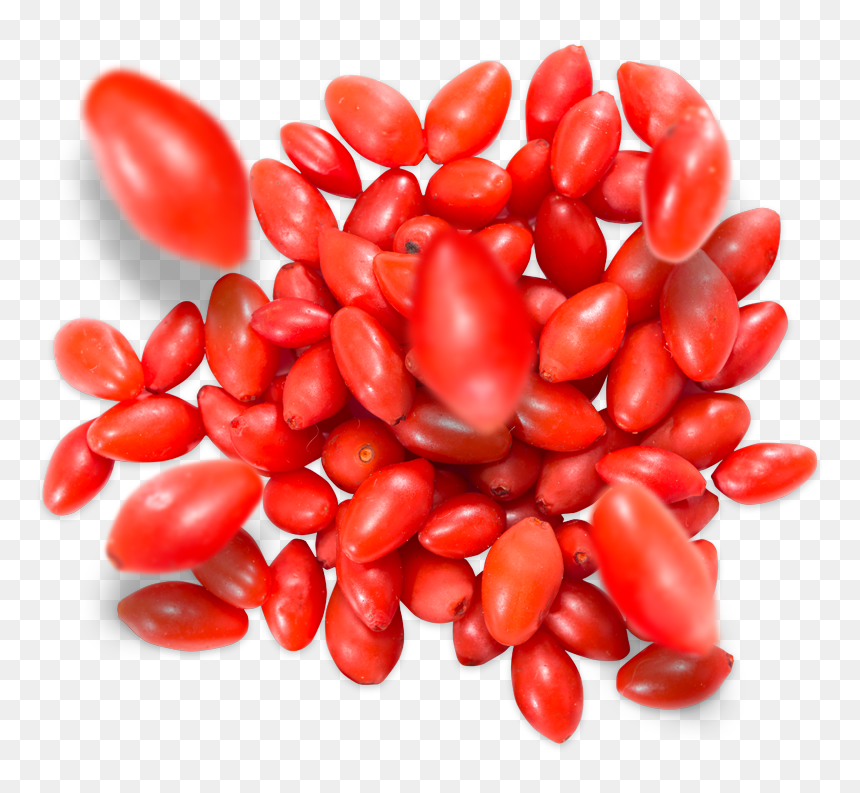 Plum Tomato, HD Png Download - froots png