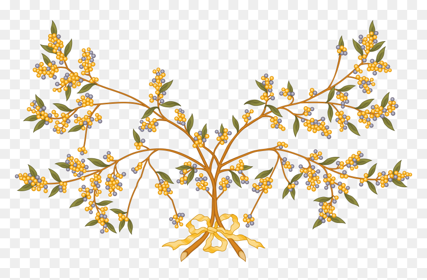 Wattle Branch Clip Arts - Australian Coat Of Arms Wattle, HD Png Download - branch icon png