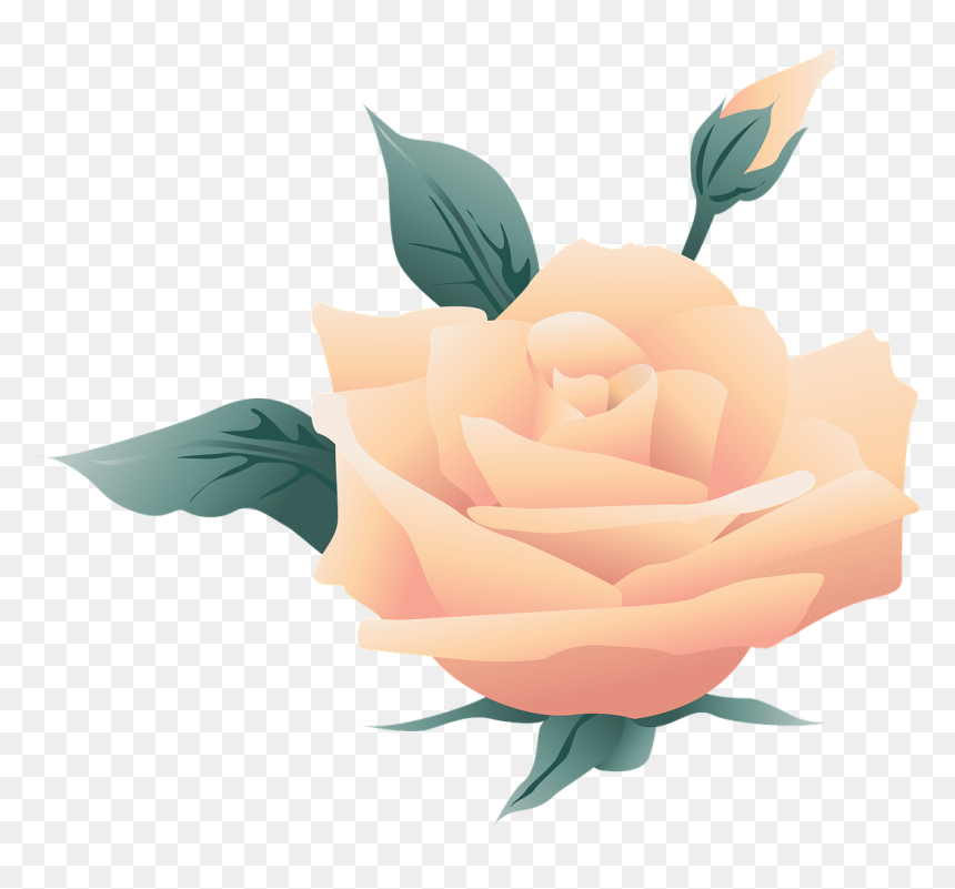 Wedding, Flower, Symbol, Rose, Nature, Floral - May I Never Forget That On My Best Day, HD Png Download - flower symbol png