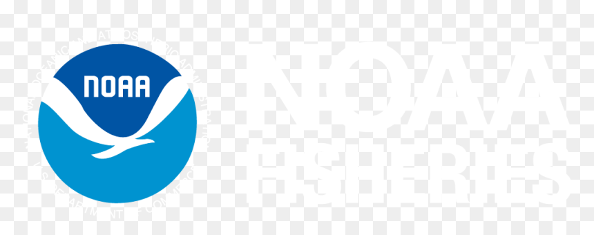 Happy Fathers Day Pizza , Png Download - Circle, Transparent Png - noaa logo png