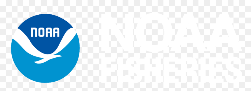 Circle, HD Png Download - noaa logo png
