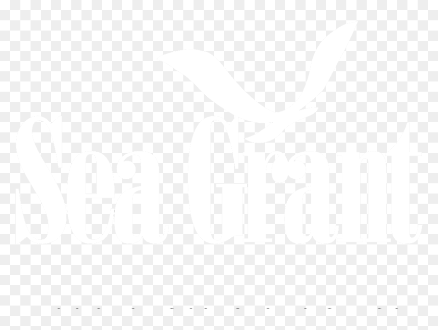National Sea Grant College Program, HD Png Download - noaa logo png